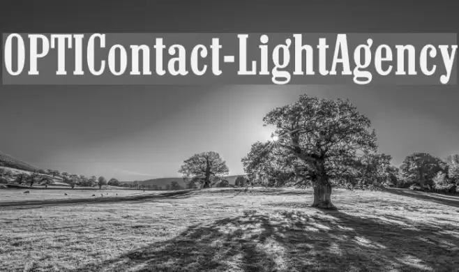OPTIContact-LightAgency フォント examples