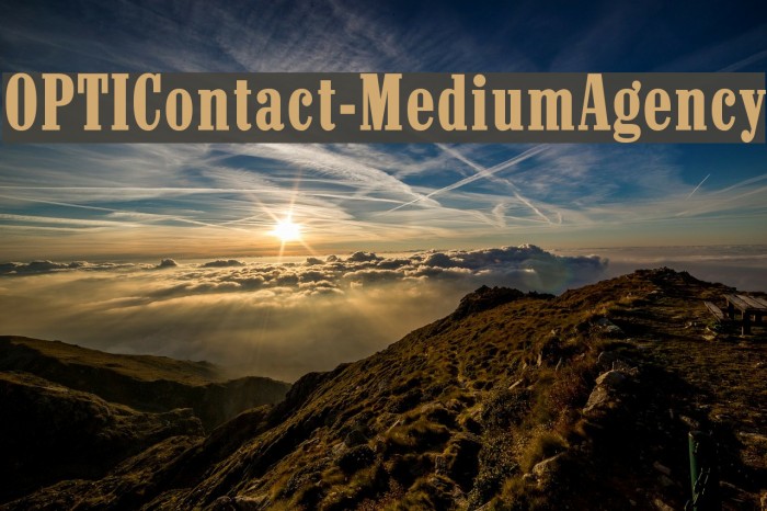 OPTIContact-MediumAgency Font examples