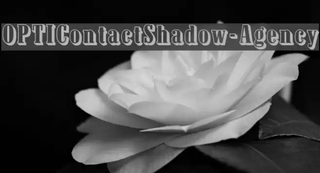 OPTIContactShadow-Agency Font examples