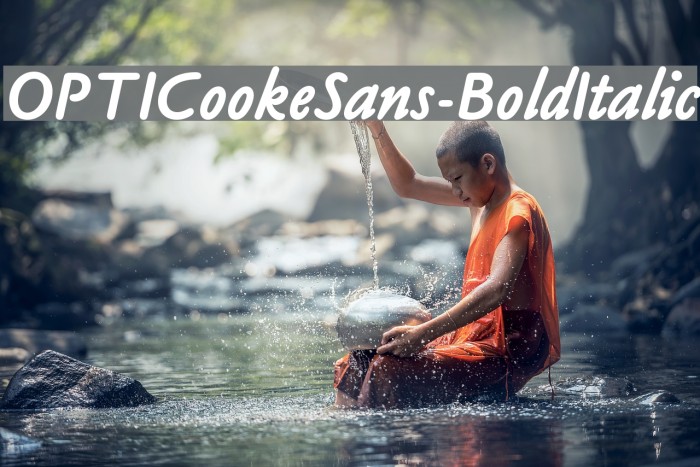 OPTICookeSans-BoldItalic Font examples