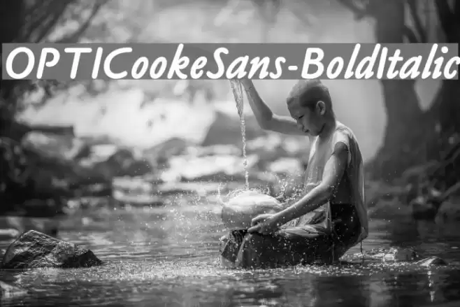 OPTICookeSans-BoldItalic  examples