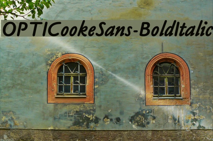 OPTICookeSans-BoldItalic Font examples