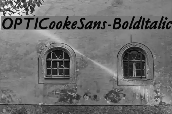 OPTICookeSans-BoldItalic  examples