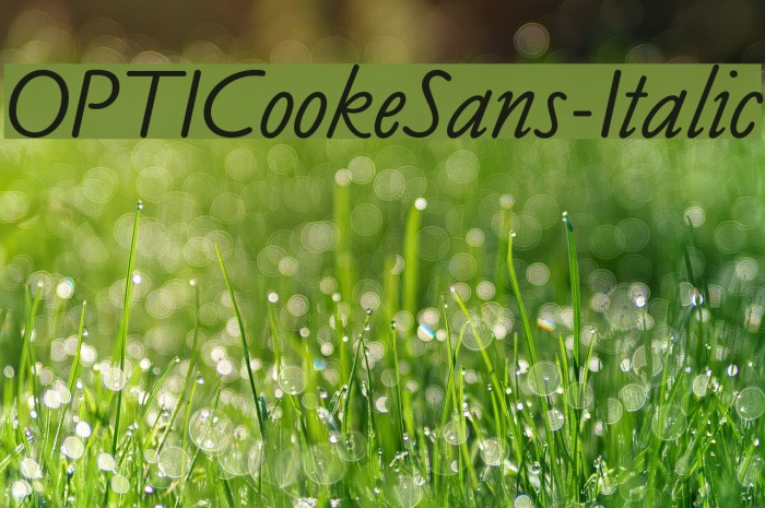 OPTICookeSans-Italic Font examples