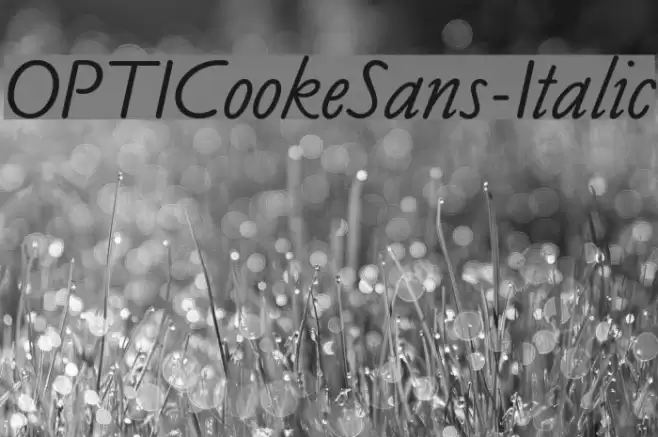 OPTICookeSans-Italic Font examples