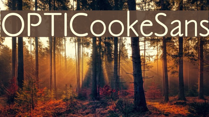 OPTICookeSans Font examples