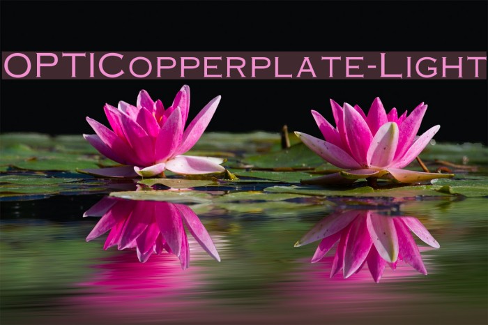 OPTICopperplate-Light Font examples