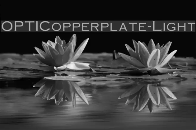 OPTICopperplate-Light Font examples