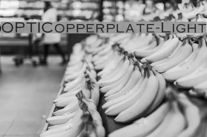 OPTICopperplate-Light Font examples