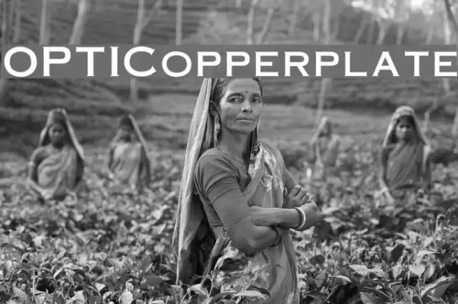 OPTICopperplate Font examples