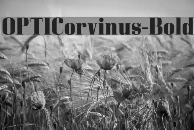 OPTICorvinus-Bold Font examples