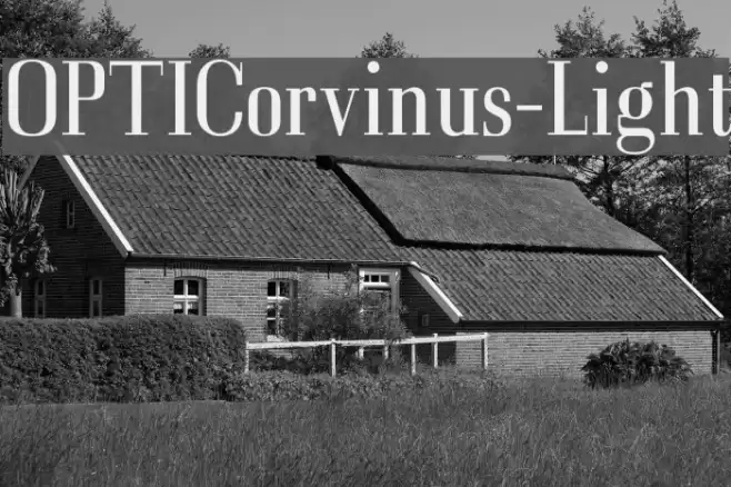 OPTICorvinus-Light Font examples
