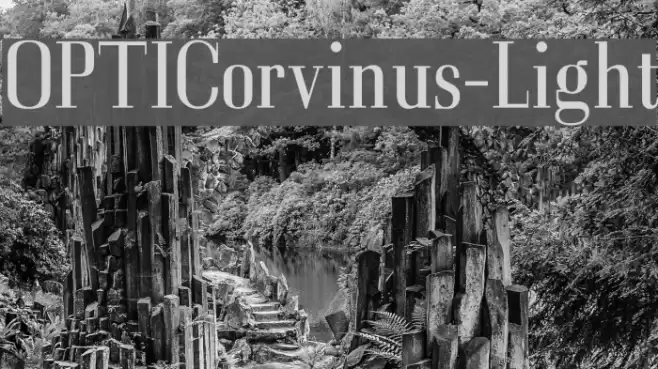 OPTICorvinus-Light Font examples
