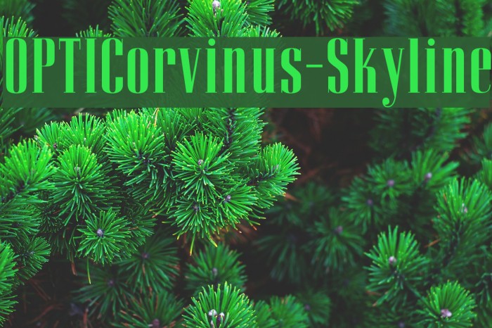 OPTICorvinus-Skyline Font examples