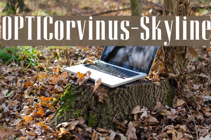 OPTICorvinus-Skyline Font examples