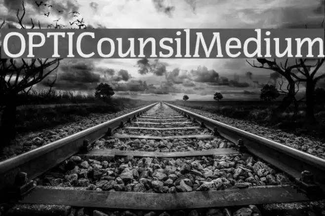 OPTICounsilMedium Fonte examples