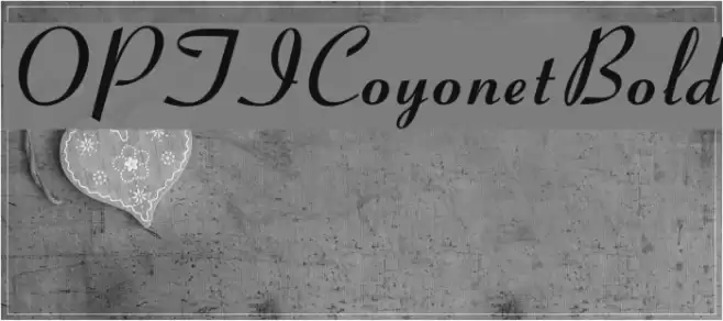 OPTICoyonetBold Font examples