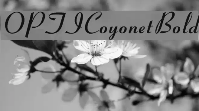 OPTICoyonetBold Font examples