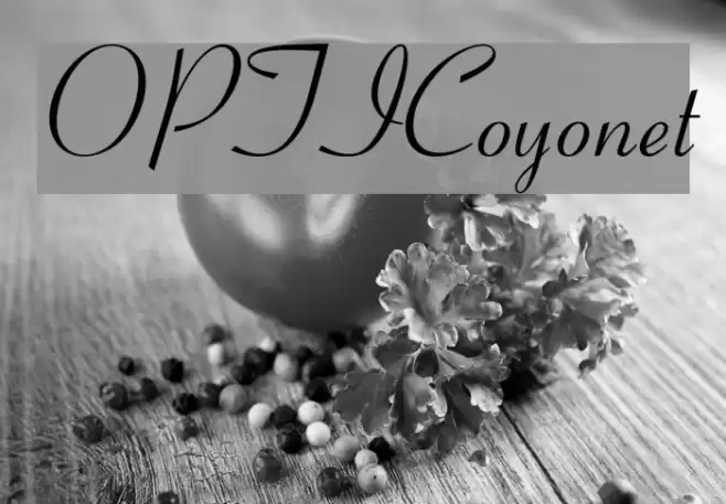 OPTICoyonet Font examples