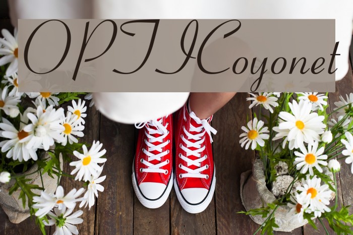 OPTICoyonet Font examples