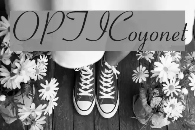 OPTICoyonet Font examples