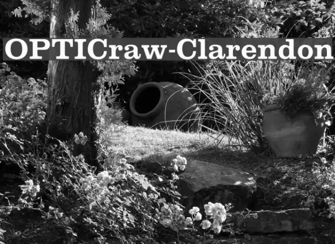 OPTICraw-Clarendon Font examples