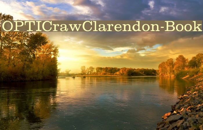 OPTICrawClarendon-Book Font examples