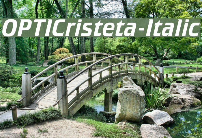 OPTICristeta-Italic Font examples