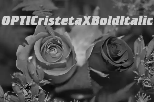 OPTICristetaXBoldItalic Font examples