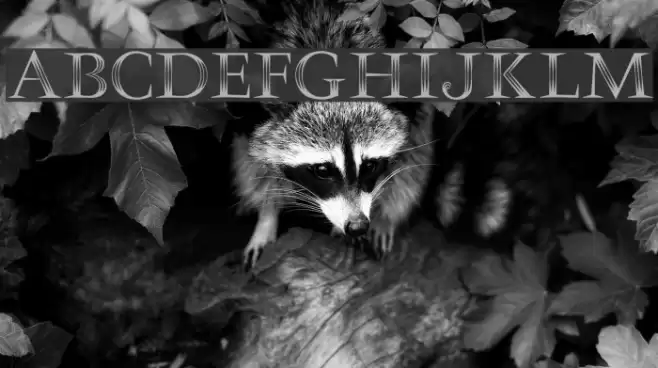 OPTICrystal Font examples