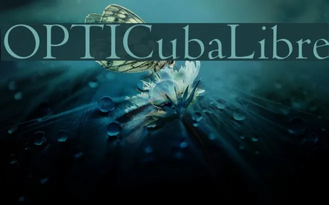 OPTICubaLibre Example 2
