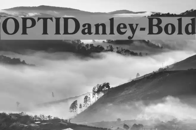 OPTIDanley-Bold Font examples
