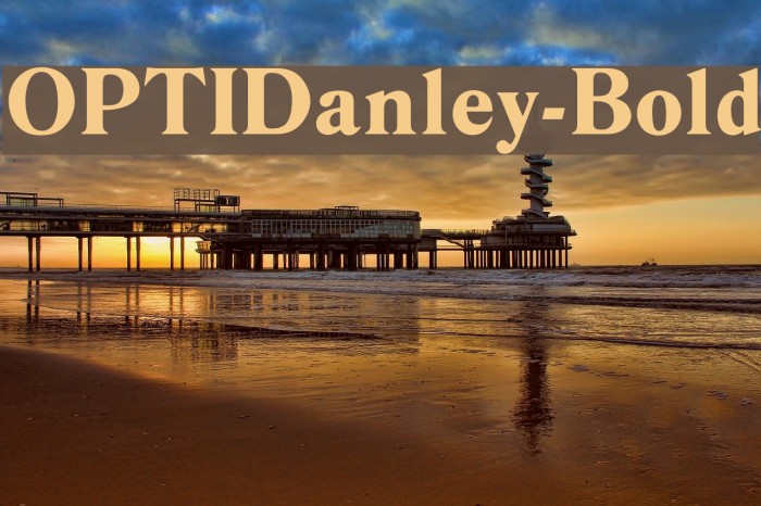 OPTIDanley-Bold Font examples