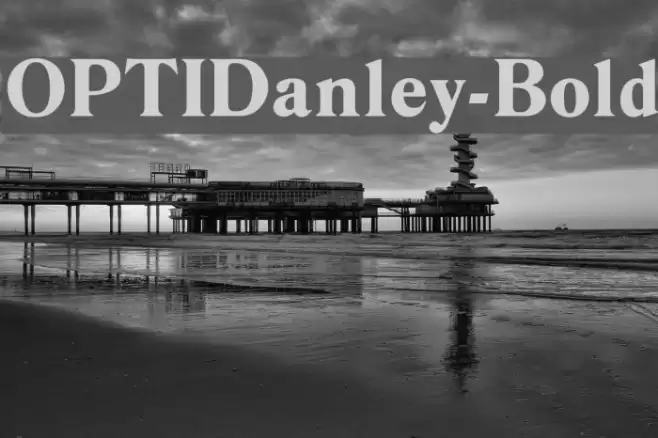 OPTIDanley-Bold Font examples