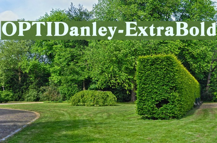 OPTIDanley-ExtraBold Font examples