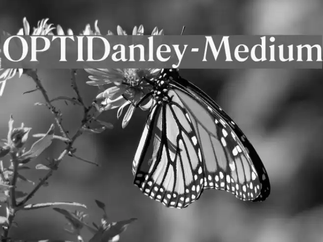 OPTIDanley-Medium Font examples