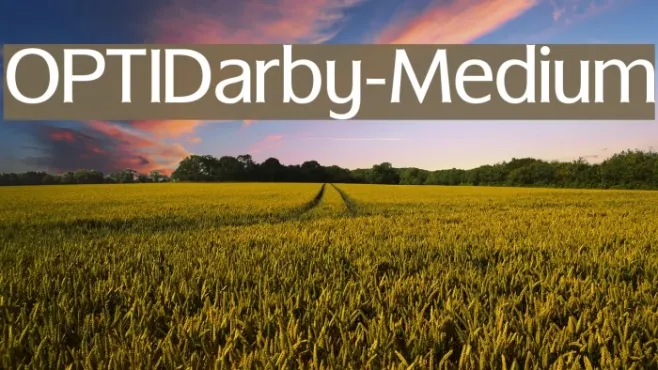 OPTIDarby-Medium Example 2