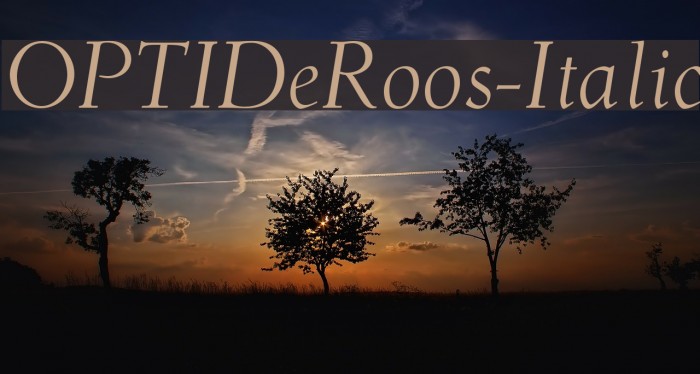 OPTIDeRoos-Italic Font examples