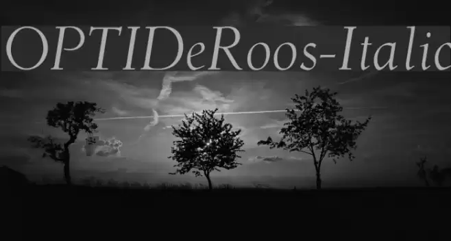 OPTIDeRoos-Italic Polices examples