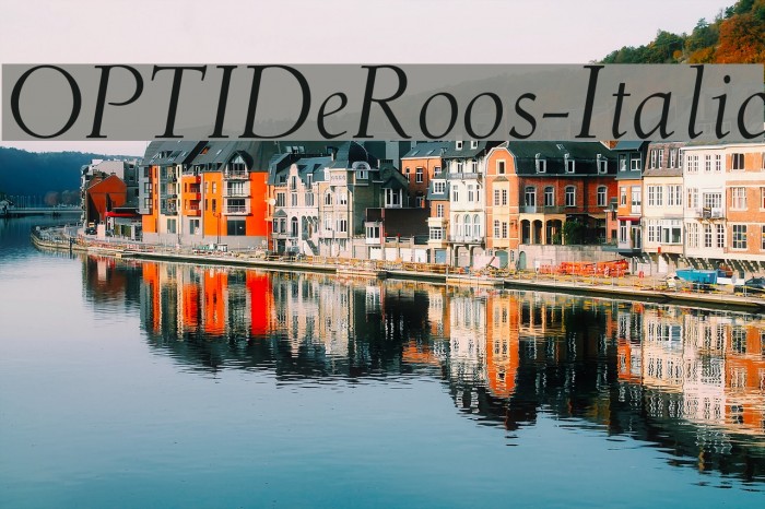 OPTIDeRoos-Italic Font examples