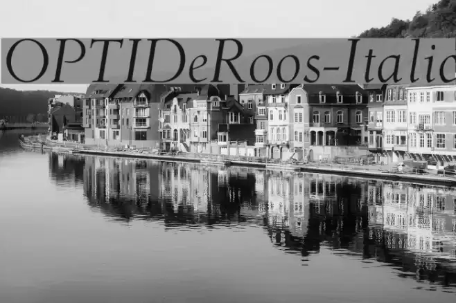 OPTIDeRoos-Italic Polices examples