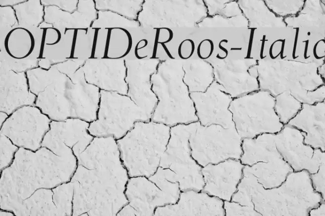 OPTIDeRoos-Italic Polices examples