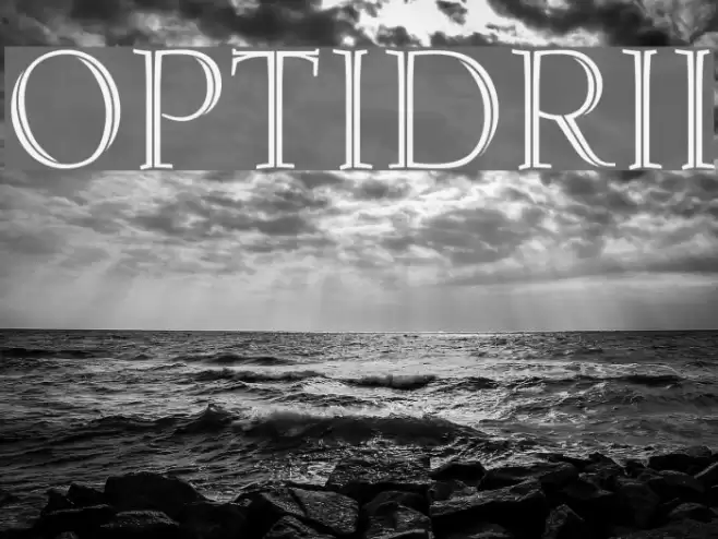 OPTIDeRoosInlineInitials Font examples
