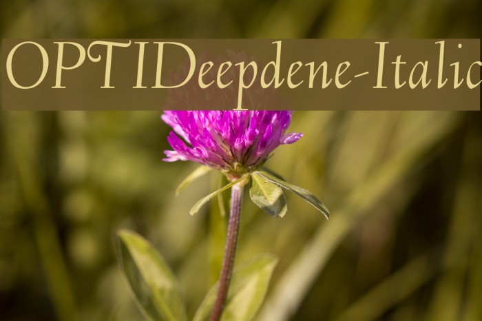 OPTIDeepdene-Italic Font examples