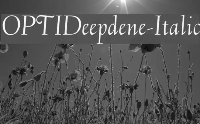 OPTIDeepdene-Italic Font examples
