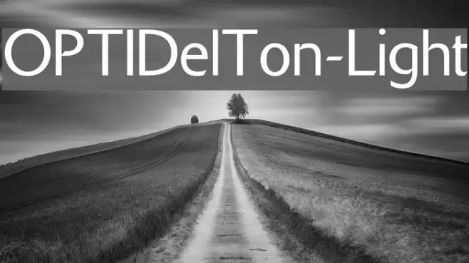 OPTIDelTon-Light examples