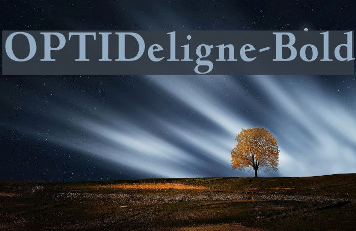 OPTIDeligne-Bold Font examples