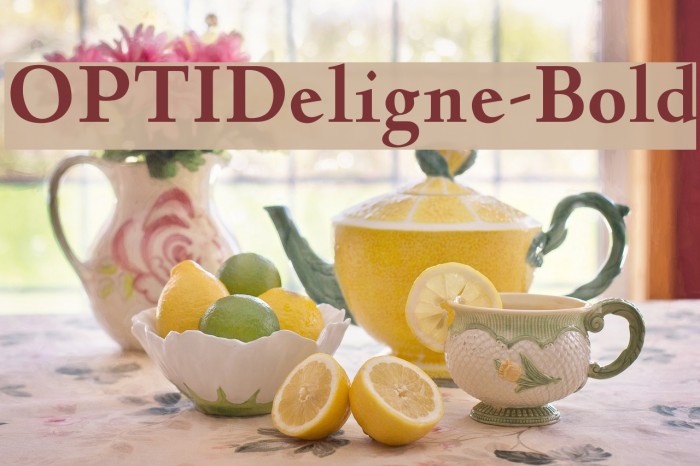 OPTIDeligne-Bold Font examples
