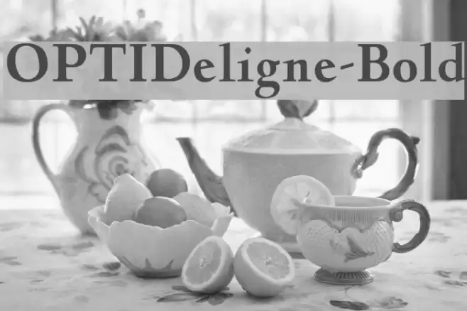 OPTIDeligne-Bold Font examples