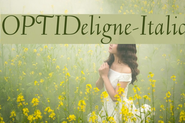 OPTIDeligne-Italic Font examples